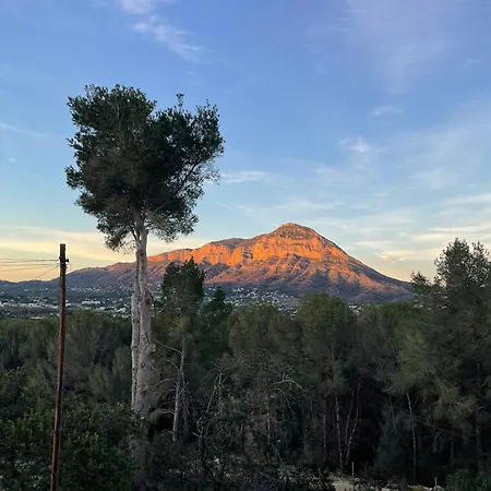 Ardilla * Javea
