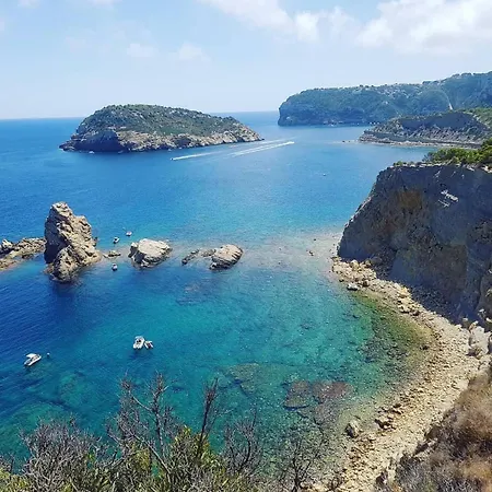 Ardilla Javea