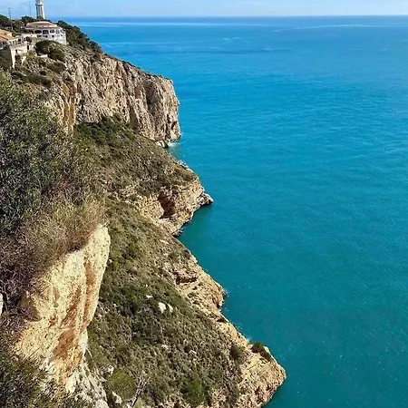 Ardilla Javea