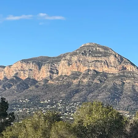 Ardilla * Javea